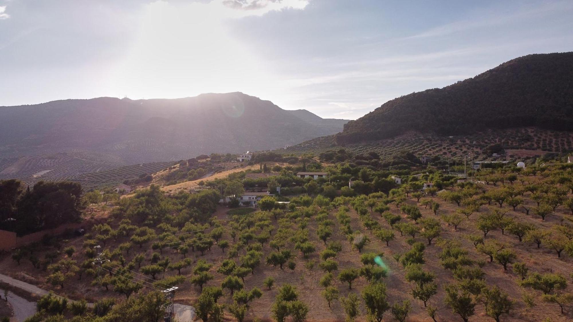 Villa Canela Illora Buitenkant foto